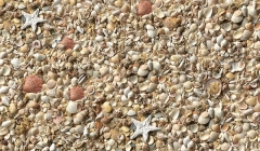 Стол обеденный Форт Прямоугольный 900 600 фп Ракушки С002 ЛДСП серый