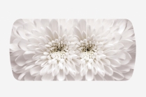 Стол Можгинский лесокомбинат Бостон-3 раздвижной фотопечать Флоренс/Хром брифинг