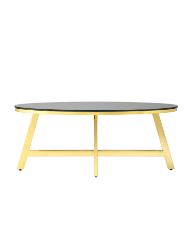 Журнальный стол Stool group АЛЬБА, 100*50, стекло черное, сталь золото