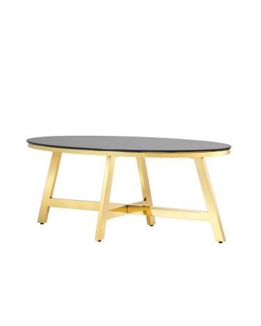 Журнальный стол Stool group АЛЬБА, 100*50, стекло черное, сталь золото