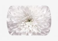 Стол Можгинский лесокомбинат Бостон-3 раздвижной, Флоренс, фотопечать/хром брифинг