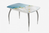 Стол овальный Можгинский лесокомбинат Бостон Белая орхидея, 900600 мм, фотопечать/белый/хром триумф