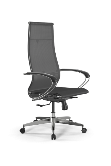 Кресло офисное ErgoLife SynchroSit 10 B1-107K - T Серый*